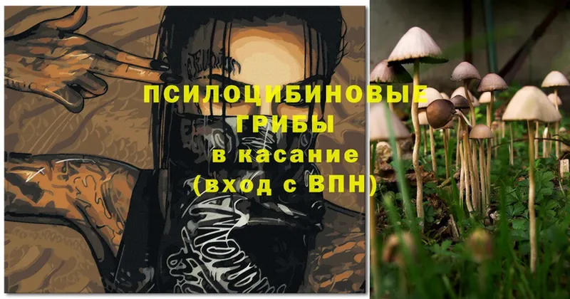 МЕГА рабочий сайт  Миньяр  Галлюциногенные грибы Cubensis 